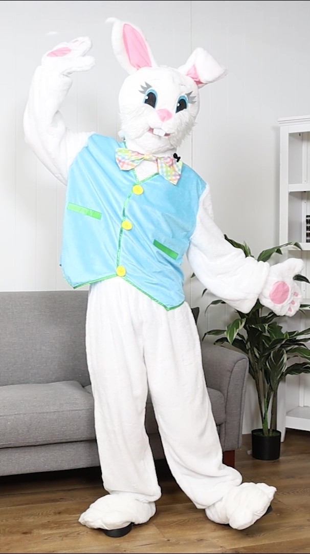 FUN97746AD_Adult Seasonal Easter Bunny Video