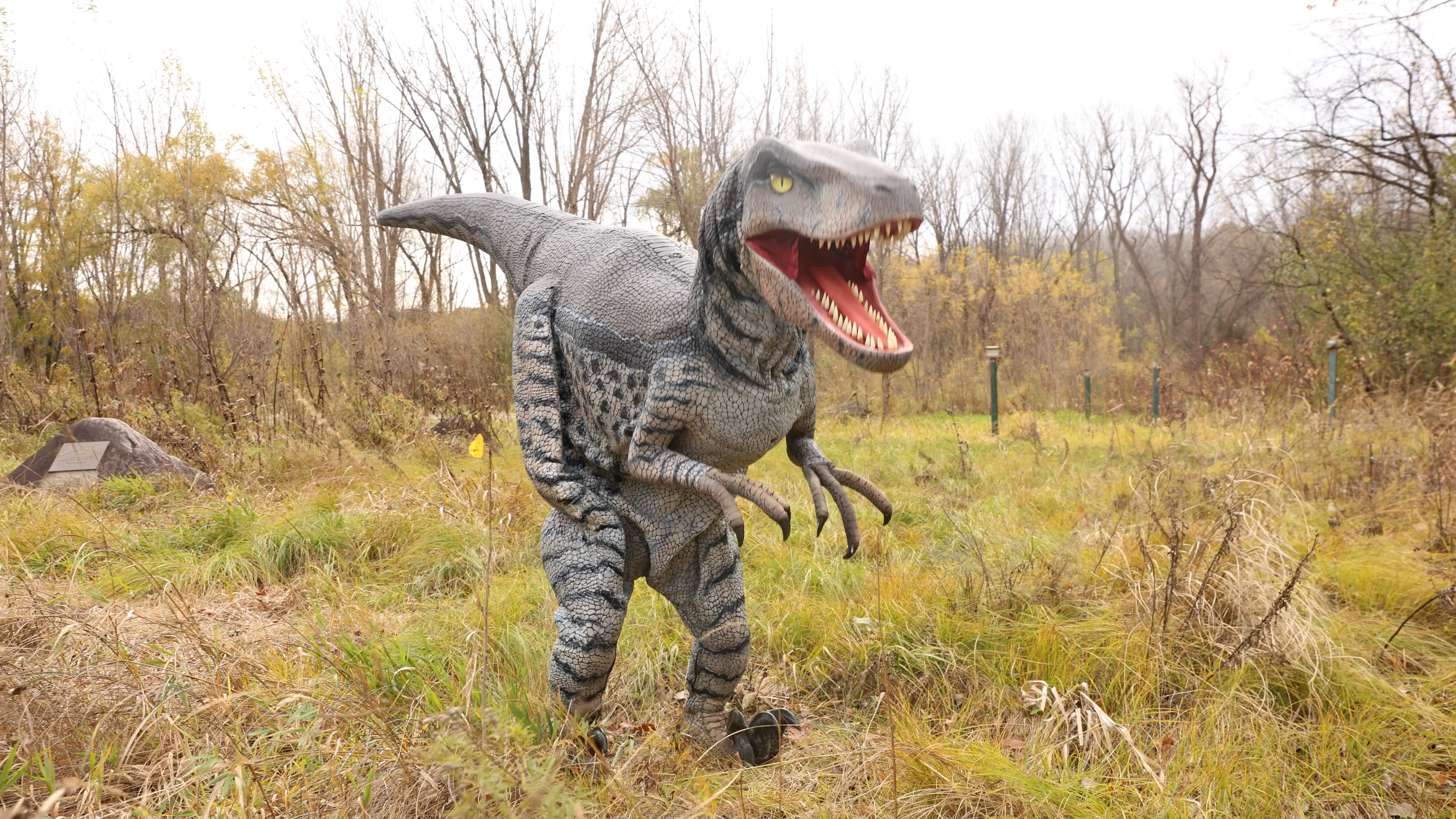 Stooping Raptor Image Life-Sized Realistic Raptor Adult Costume | Dinosaur Costumes