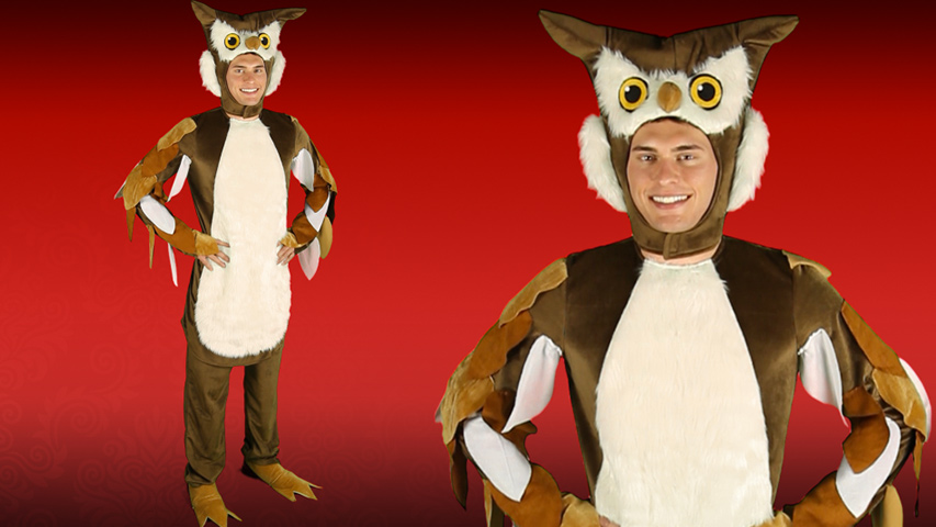 This Owl costume will let you be the wise master of the forest! Are you not really that wise? Don't worry, this costume will do all of the work for you!