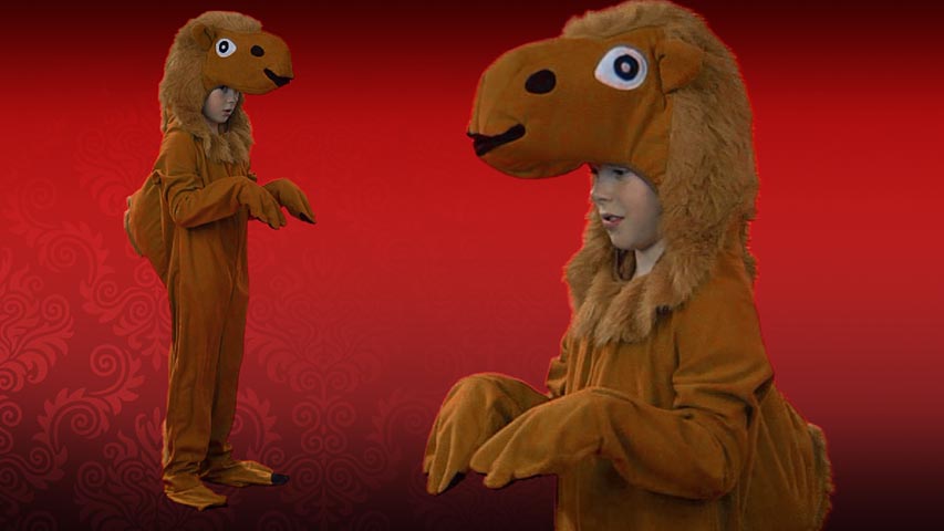Perfect for school and church plays, the child camel costume is a complete jumpsuit with attached camel head, hump, tail, gloves and shoe covers.  The costume is detailed with faux fur for added detail. A great value for anytime of year.