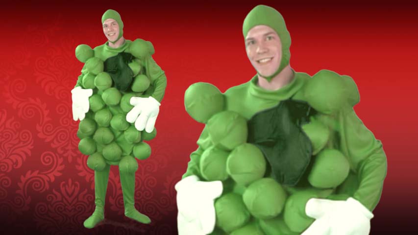 A green grapes costume is a funny costume to wear out alone or as a Fruit of the Loom group costume.  The costume comes with cap, tunic and balloons to fill up.