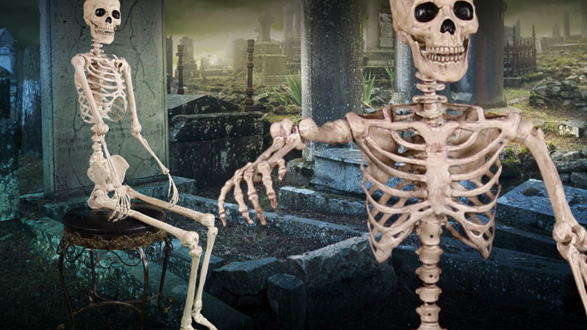 - Adult Set of 2 5 4 and Child 3 SCS Direct Halloween Life Size Skeleton Value Pack Decorations- Weatherproof Indoor/Outdoor Realistic Human Bones Body Prop