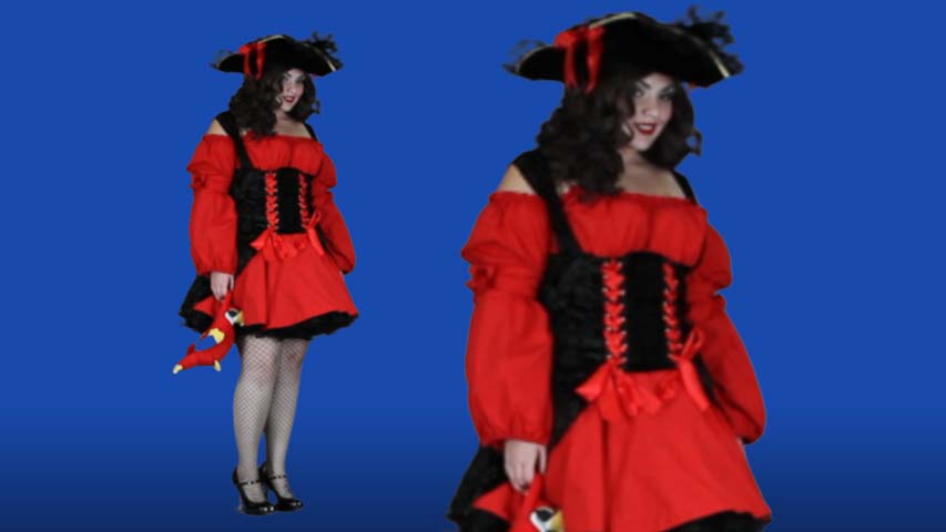 This plus size Vixen Pirate costume is a great velvet dress that comes up to 5X size.  Add a pirate hat, boots, and parrot purse to complete this vixen look.