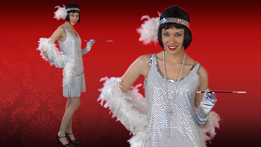 Silver Flapper Dress Costume
