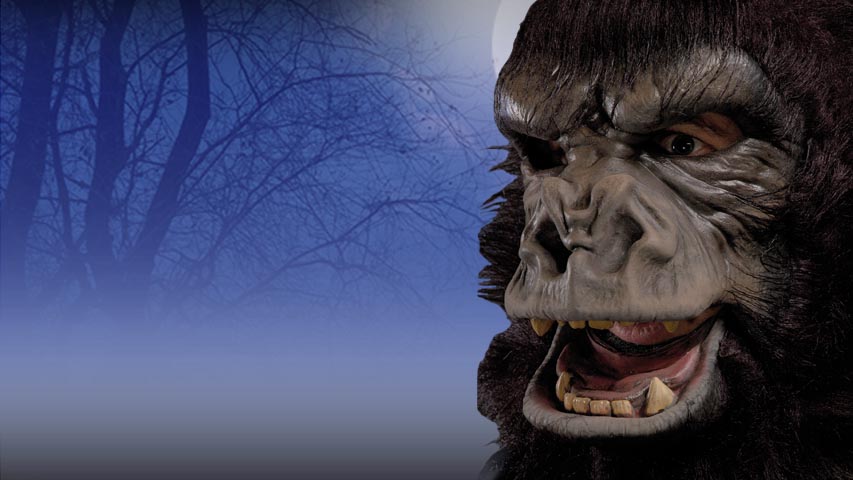 This ultra realistic gorilla mask is a great addition to your gorilla costume for this Halloween.  The mouth moves for extra realism and comfort and the mask is covered in faux fur. Everyone will be going bananas over how amazing this mask is.