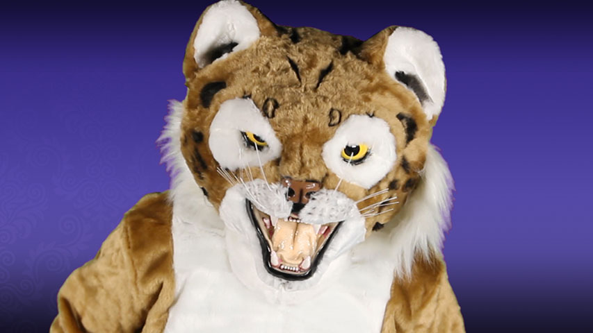 Go WIldcats! Suit up and get ready to dance courtside with this Wildcat Mascot Costume. You'll really show your team spirit!