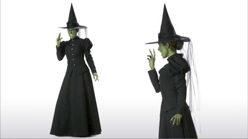 This is a high quality Wicked Witch costume from the Wizard of Oz.  You will be the life of the party with this witch costume from the popular group theme.